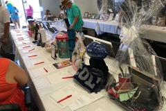  2019 Summer Showdown Pictures of Silent Auction