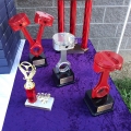 2019-Summer-Showdown-Trophies-S-002