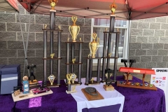 2021 Summer Showdown Pictures of Trophies