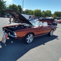 2023-Summer-Showdown-Vehicles-SL-37