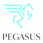 Pegasus Limo