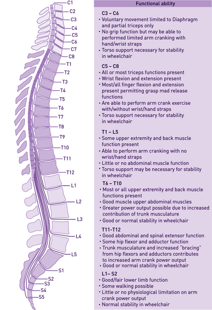 Spinal Cord Injury Functional Ability