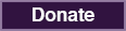 Donate to the Michael Feger Paralysis Foundation